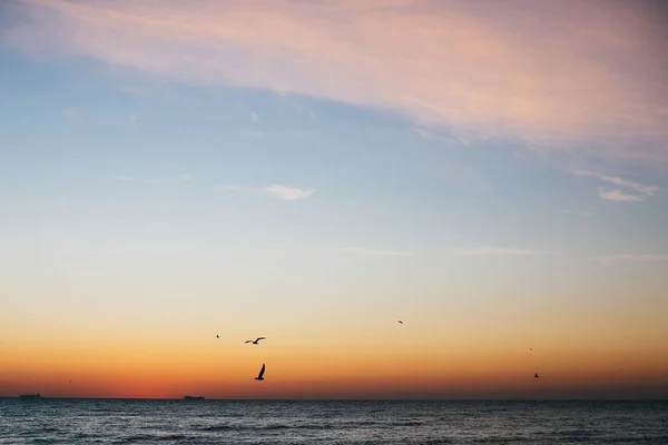 Pembe gökyüzünde uçan güzel martılar ve deniz wav üzerinde güneş doğar — Stok fotoğraf