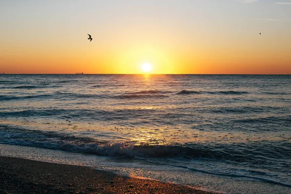 Güzel güneş doğuşu ve deniz dalgası üzerinde kırmızı gökyüzünde uçan martılar — Stok fotoğraf