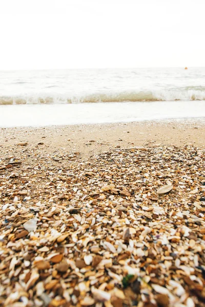 Bellissimo mare onde schiuma primo piano e spiaggia sabbiosa con conchiglie — Foto Stock