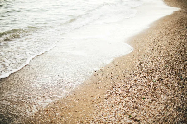 Belle mer vagues mousse gros plan et plage de sable avec coquillages — Photo
