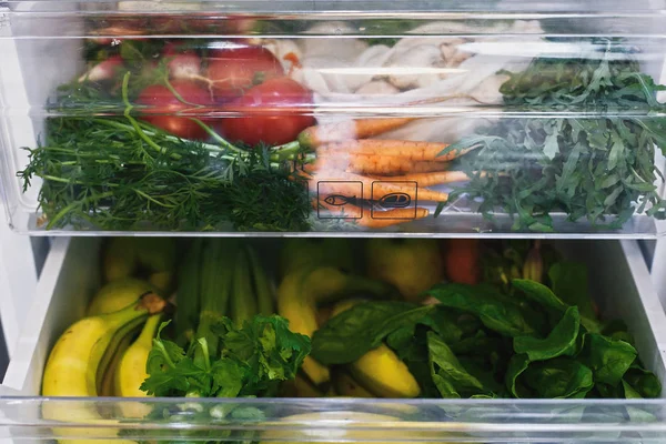 Tidak ada limbah belanjaan di lemari es. Sayuran segar di dalam laci yang terbuka — Stok Foto