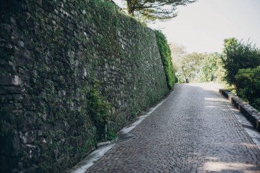 Botanik gar yeşillik ile güzel eski taş yol ve duvar