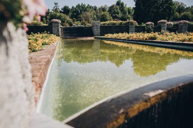 Güneşli botanik bahçesinde su ile güzel eski çeşmeler, o