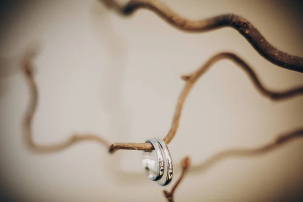 Elegantes anillos de boda de plata en una simple rama de madera. Boda je — Foto de Stock