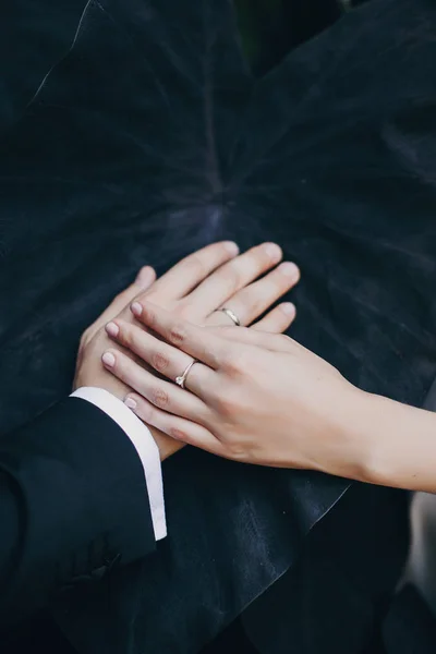 Stylish bride and groom hands on big black leaf in botanical gar — Stock Photo, Image