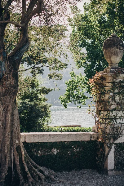 Hermosa vista de monumentos de piedra y árboles en la montaña en Lago —  Fotos de Stock