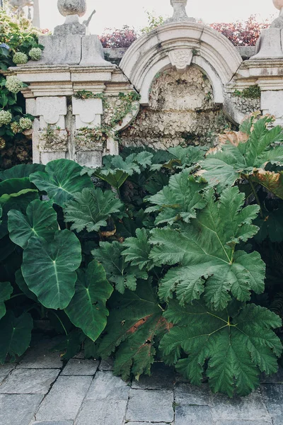 Прекрасний вид на кам'яні пам'ятки і зелені дерева і рослини на — стокове фото