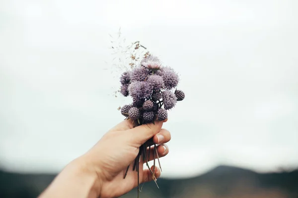 Hand holding beautiful wildflowers on background of sky in mount — Stock Photo, Image