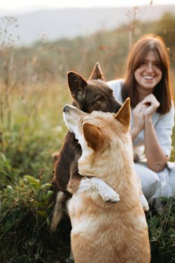 Şık boho kız ve çim ve wildfl oynayan iki sevimli köpek