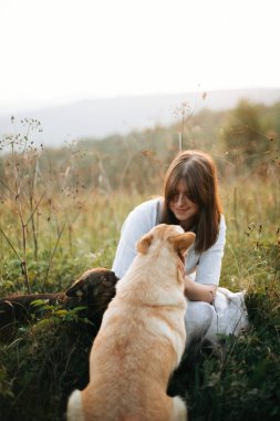Çim ve wildfl onu sevimli köpekler ile oynarken Şık boho kız