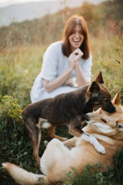 Şık boho kız ve çim ve wildfl oynayan iki sevimli köpek