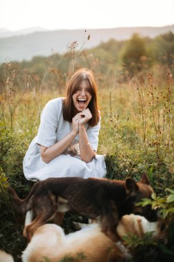 Çim ve wildfl onu sevimli köpekler ile oynarken Şık boho kız