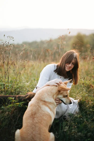 Стильна дівчина-бохо грає зі своїми милими собаками в траві і дикобразі — стокове фото