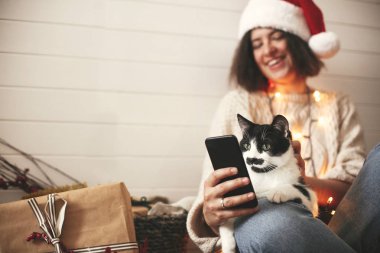 Sevimli kedi komik duygular ile telefon ekranına bakıyor ve oturuyor