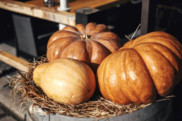 Halloween street decor. Pumpkin on barrel with hay in city stree — Stock Photo, Image