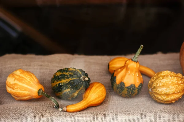 Pumpkins and squash in city street, holiday decorations store fr — Stock Photo, Image