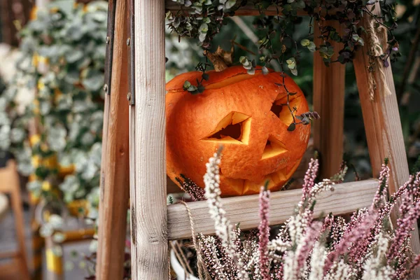 Halloween ulicy wystrój. Jack o latarnia dynie i kwiaty w c — Zdjęcie stockowe