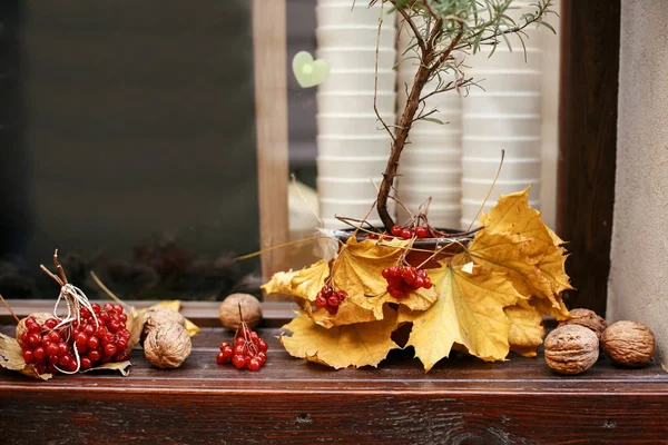 Red berries , walnuts and yellow leaves in city street, holiday — Stock Photo, Image