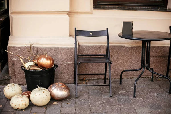 Elegantes calabazas doradas y squash en la calle de la ciudad, decoración navideña — Foto de Stock