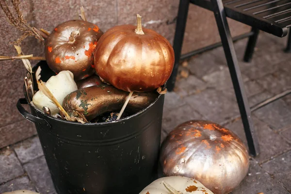 Stylish golden pumpkins and squash in city street, holiday decor — Stock Photo, Image