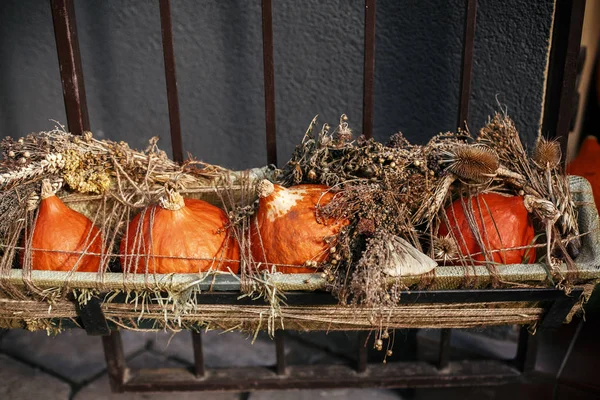 Halloween street decor.Pumpkins and squash with dried herbs in c — Stock Photo, Image