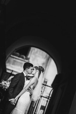 Şık damat şehvetli güneşli europea onun mutlu gelin öpüşme