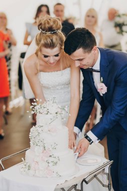 Şık gelin ve damat birlikte inanılmaz güzel weddi kesme