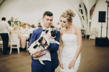 Şık gelin ve damat sarılma ve b pug köpek ile eğlenmek