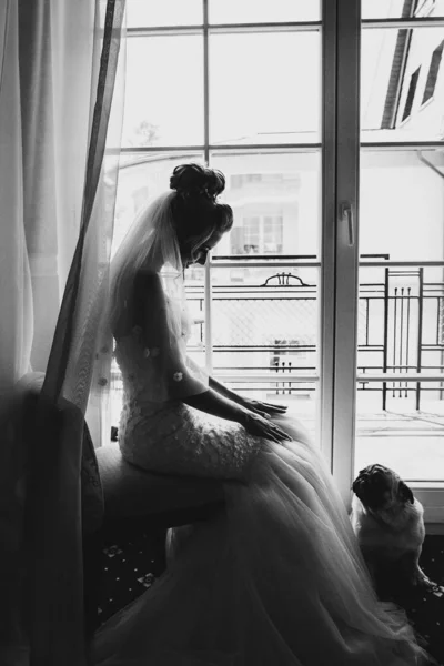 Sposa elegante giocare con cane carlino in papillon in luce morbida vicino — Foto Stock