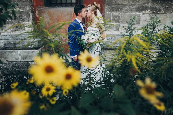 Stilvolles Brautpaar küsst sich inmitten gelber Blumen in sonniger Umgebung — Stockfoto