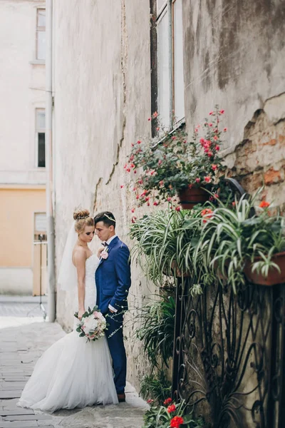 Noiva feliz elegante e noivo posando na velha rua da cidade europeia — Fotografia de Stock