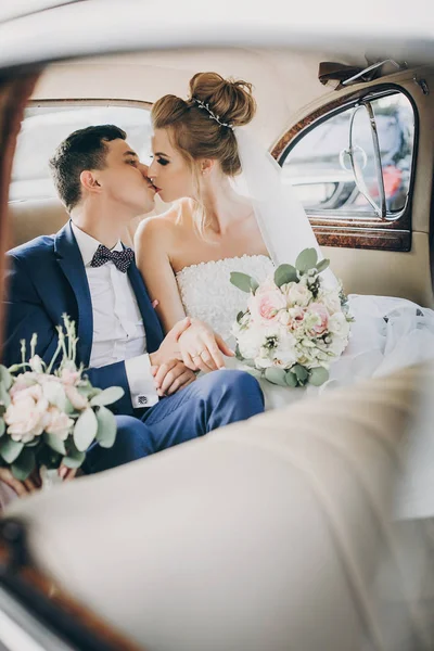 Elegante sposa felice e sposo mostrando le mani con fedi nuziali , — Foto Stock