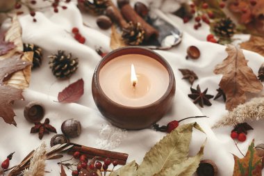 Hygge yaşam tarzı. Çilek, sonbahar yaprakları, otlar, meşe palamudu ile Mum