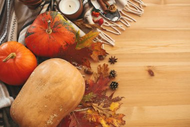 Mutlu Şükran düz yatıyordu. Kabaklar ve mum, çilek, sonbahar