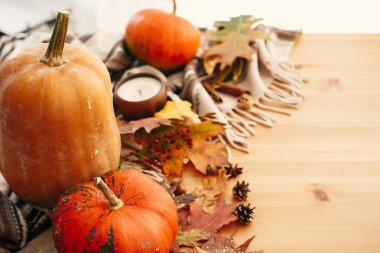 Kabaklar ve mum, çilek, sonbahar yaprakları, anason, otlar, meşe palamudu,