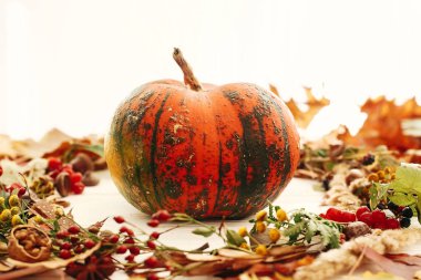 Şükran Günün kutlu olsun. Sonbahar yaprakları, kırmızı sonbaharda kabak çelenk