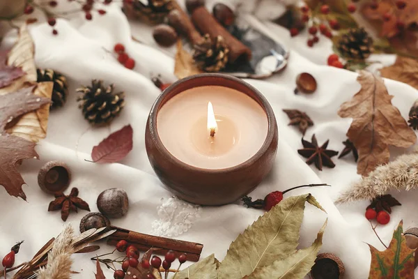 Hygge-Lifestyle. Kerze mit Beeren, Herbstblättern, Kräutern, Eicheln — Stockfoto