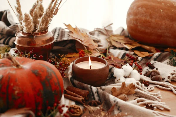 Pumpkin and candle with berries, fall leaves, anise,herbs, acorn — Stock Photo, Image