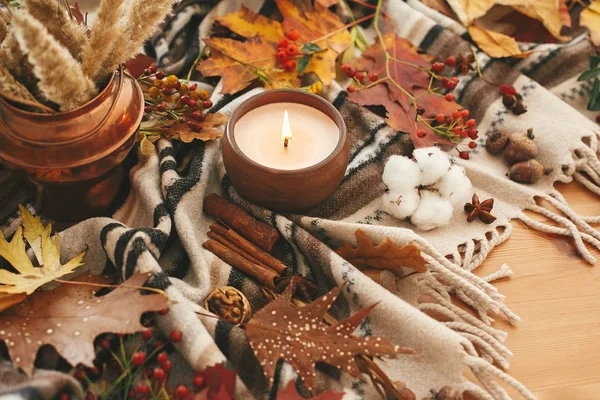 Çilek ile Mum, sonbahar yaprakları, anason, otlar, meşe palamudu, fındık, cin