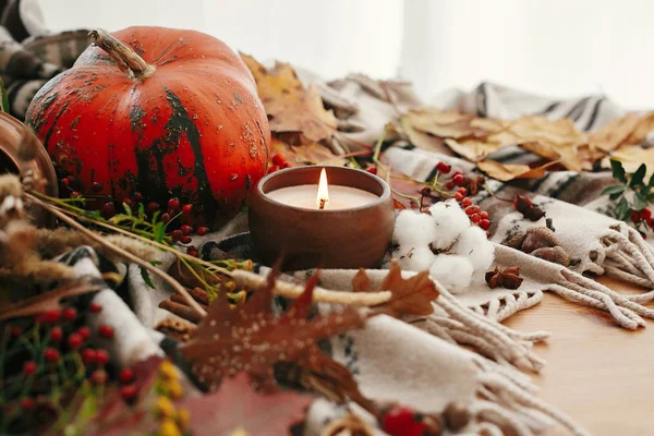 海格的生活方式，秋天的心情。南瓜和蜡烛与浆果，f — 图库照片