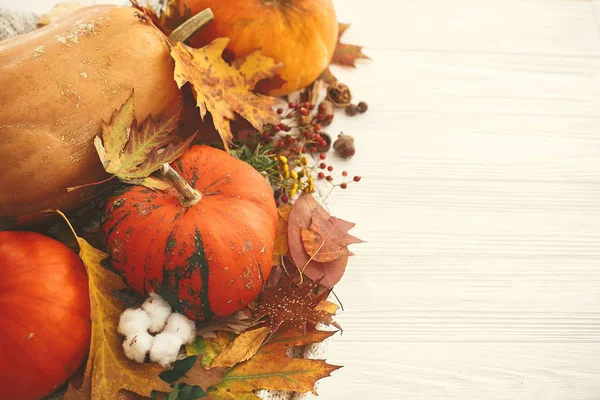 ヒュッゲのライフスタイル、居心地の良い秋の気分。感謝祭おめでとうカボチャ — ストック写真