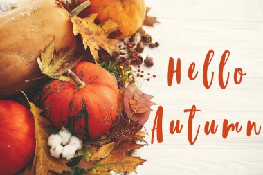 Merhaba Sonbahar metin, sonbahar leav ile kabaklar üzerinde sonbahar tebrik işareti