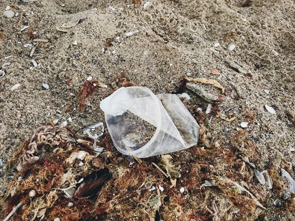 Jednorazowy plastikowy kubek w piasku, morski kosz na plaży. Plasti — Zdjęcie stockowe