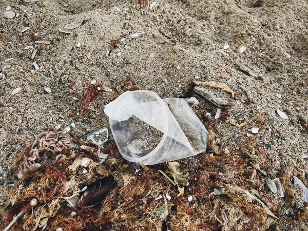 Engångsbruk plastmugg i sand, Marina Trash på stranden. Plasti — Stockfoto