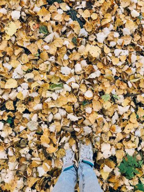 Merhaba sonbahar. Yerde sarı yapraklı kız bacakları, yukarıdan aşağıya vi