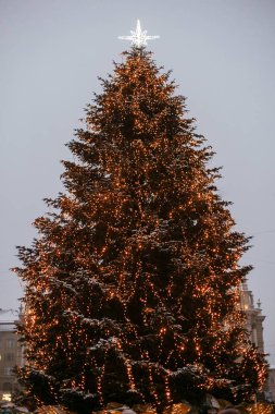 Altın ışıklar ve ışıklı yıldız o ile şık noel ağacı