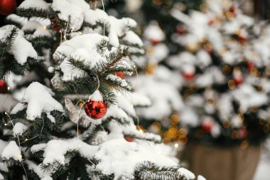 Kırmızı ve altın baubles ve festival ışıkları ile Noel ağaçları, co