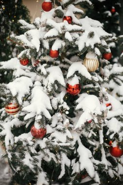 Noel sokak dekoru. Kırmızı ve gol ile şık noel ağaçları