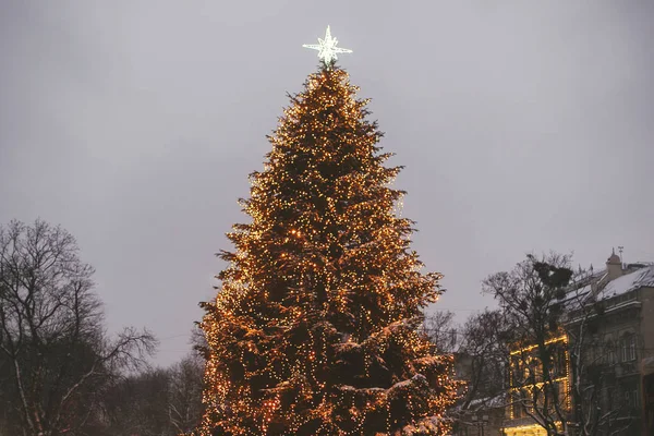 金色のライトと照らされた星oとスタイリッシュなクリスマスツリー — ストック写真