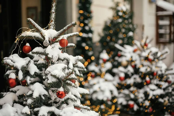 Рождественский уличный декор. Стильные рождественские елки с красным и голем — стоковое фото